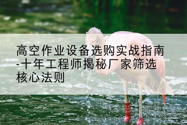 新丰剪叉式升降机厂家-高空作业设备选购实战指南-十年工程师揭秘厂家筛选核心法则