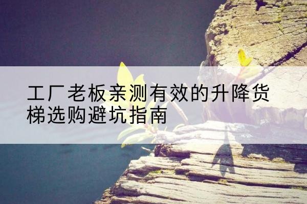 新丰升降货梯怎么选-工厂老板亲测有效的升降货梯选购避坑指南