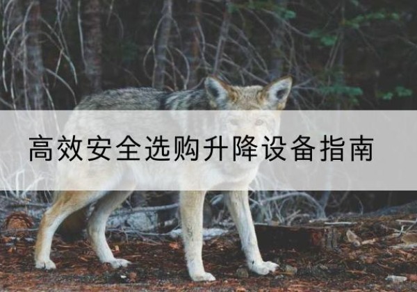 新丰升降货梯厂家推荐-*安全选购升降设备指南