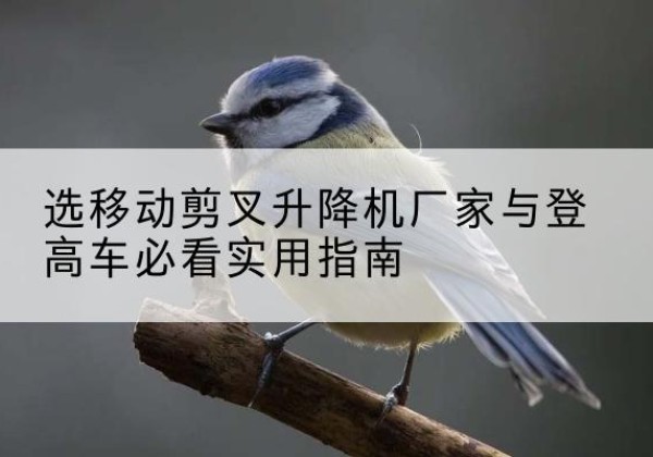 新丰电动升降机厂家-选移动剪叉升降机厂家与登高车必看实用指南