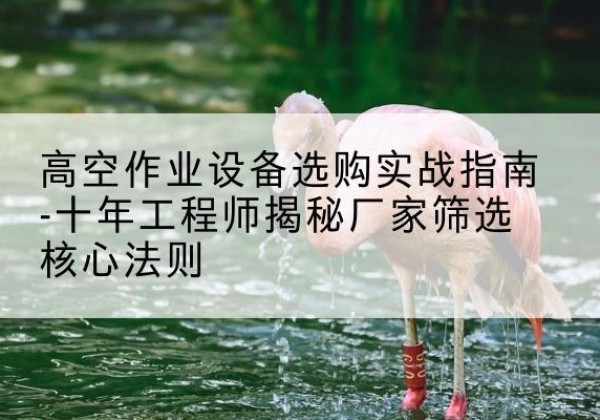 新丰剪叉式升降机厂家-高空作业设备选购实战指南-十年工程师揭秘厂家筛选核心法则